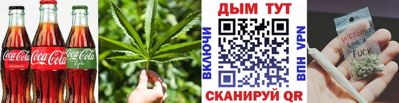 Cannafood конопля  Киселёвск 