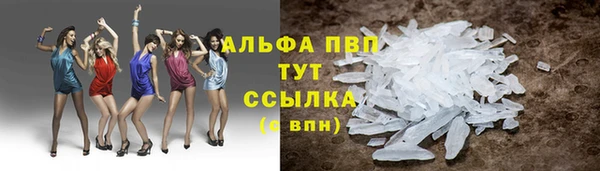 mdpv Медвежьегорск