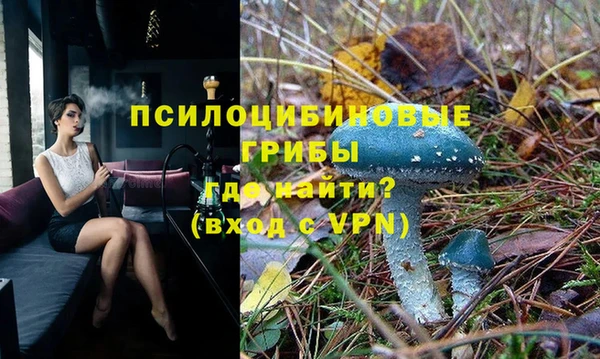 mdpv Медногорск