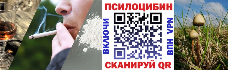 omg рабочий сайт  Киселёвск  Псилоцибиновые грибы MAGIC MUSHROOMS 